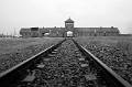 auschwitz 01